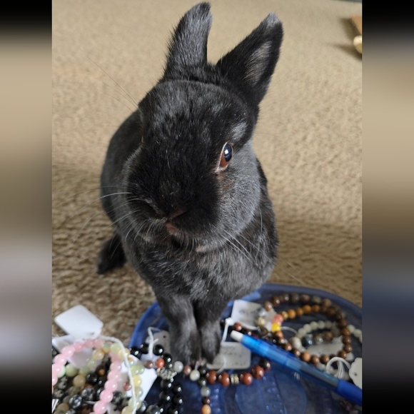 8mm Pink Cherry Quartz Bracelet 🍒🌸 - Picture 6 of 6